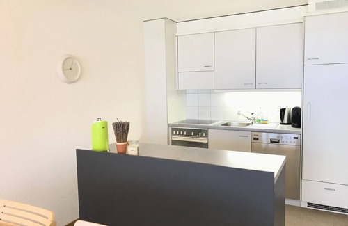 Murren Apartment | family home & alpine wellness inhouse