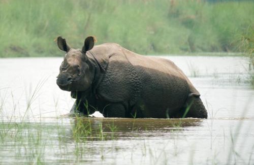 Bardia House | Family house - Bardia National Park