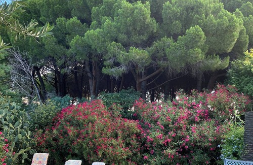 Cavaliere House | “Family House with Garden – 150m from the Beach”