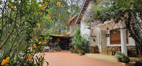 Da Lat House | Family house - stay on pine hill Dalat