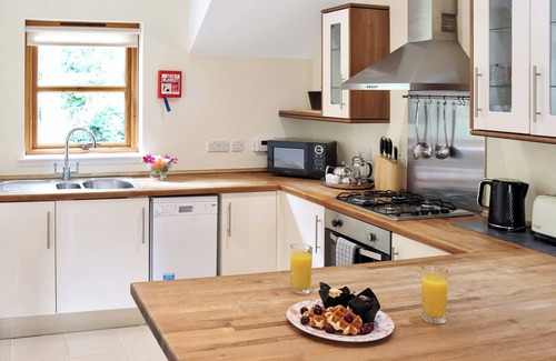 Pitlochry Cottage | Family Lodge No. 3 - UK45692