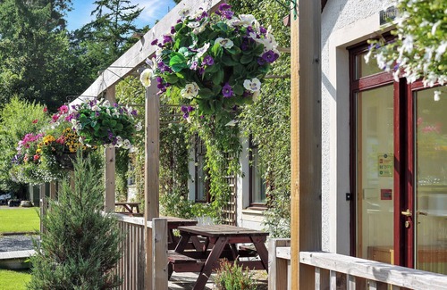 Pitlochry Cottage | Family Lodge No. 3 - UK45692
