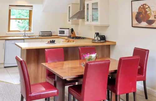 Pitlochry Cottage | Family Lodge No. 4 - UK45693