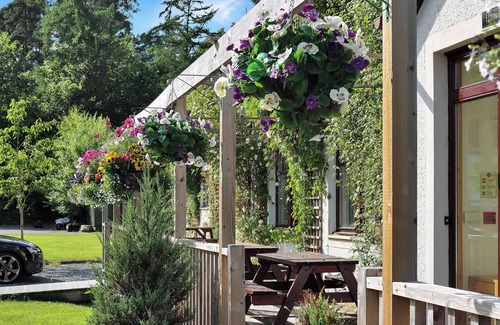 Pitlochry Cottage | Family Lodge No. 5 - UK45694