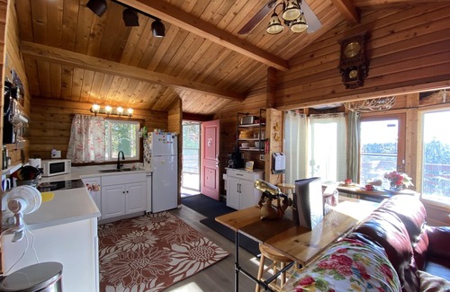 Meadow View Heights Cabin | Family & Pet friendly! THAT Cabin with the amazing view!