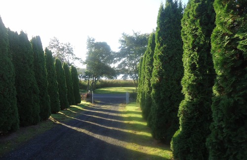 Newmarket on Fergus House | Family Retreat With Panoramic Lake View And Large Front And Back Gardens