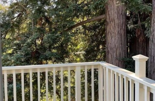 Boulder Creek Cabin | Family Retreat near South Bay and Santa Cruz Beach