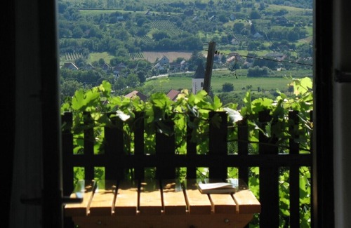 Koroshegy House | Family winery fantastic with lake view