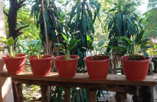 Ban Lung House | FamilyHouse & Trekking