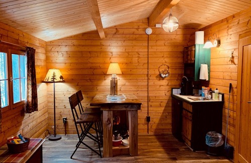 Hayward Cabin | Fancy Fireflies - Charming studio cabin amidst the trees right on Lake Hayward!