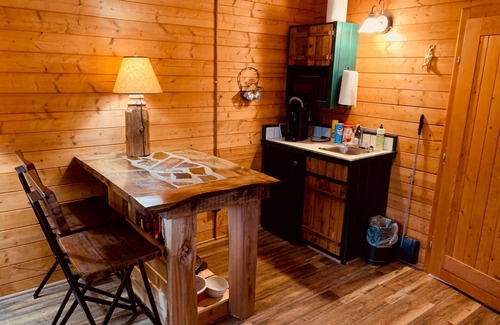 Hayward Cabin | Fancy Fireflies - Charming studio cabin amidst the trees right on Lake Hayward!