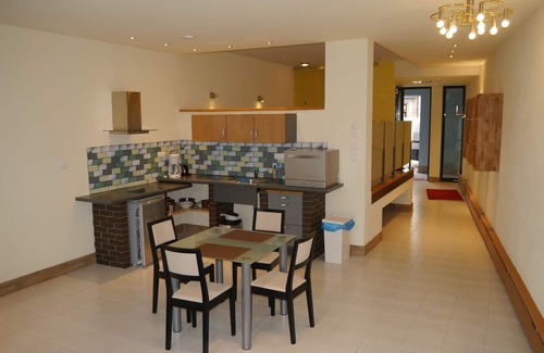 Wertheim Apartment | Fantastic apartments with a sun terrace directly on the shores Tauber
