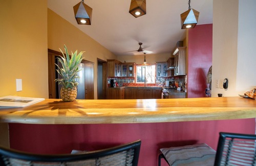 Vinorama House | Fantastic Beachfront property with infinity pool, private beach & AC!