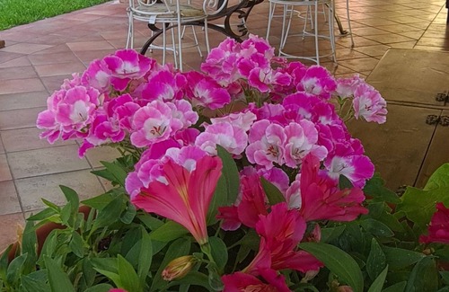Formia Villa | Fantastic Panoramic Villa by the Sea - An Unforgettable Experience