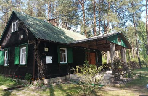 Dlugosiodlo House | Fantastyczny domek w lesie