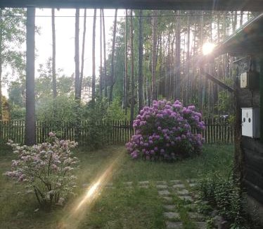 Dlugosiodlo House | Fantastyczny domek w lesie