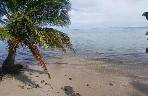 Ha'apiti House | Fare Ohiti, face au spot de surf de Haapiti