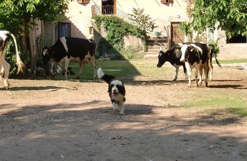 Vaureilles Cottage | Farm cottage in activity