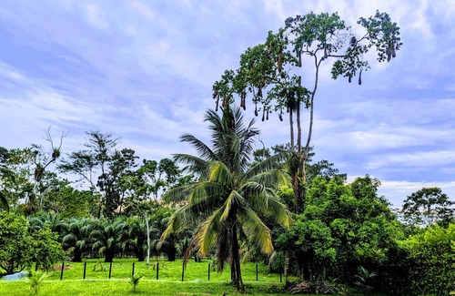 Lago Agrio Cabin | Farm Hotel Magic Paradise - Amazon Cabin