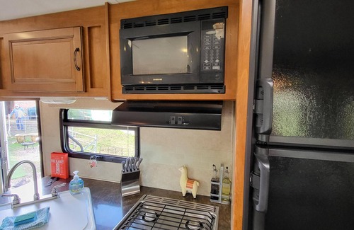 Wisbech Other | Farm stay amongst friendly llamas