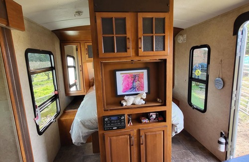 Wisbech Other | Farm stay amongst friendly llamas