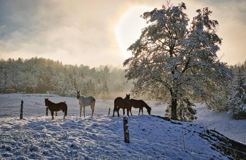 Ivancna Gorica Apartment | Farm Stay Ana