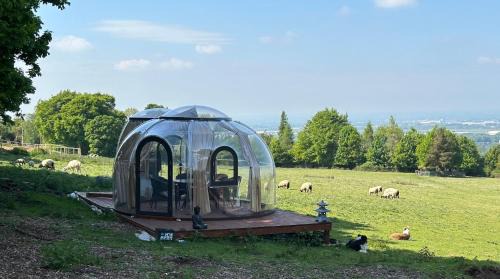 Brittas House | Farm stay cabin in the woods