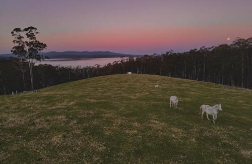 Mallacoota House | Farm Stay & Iconic Water Views - 32 Zachary Drive