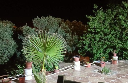 Wadi Musa Apartment | Farmer stay hostel