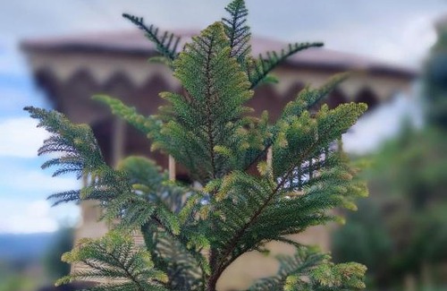 Bhaktapur House | Farmers Farm & Farm Stay