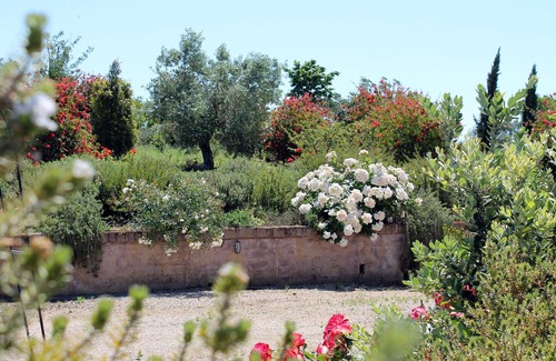 Montalto di Castro Cottage | Farmhouse Cacciata Grande