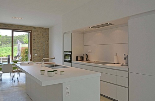 Rieux-Minervois Villa | Farmhouse in Languedoc with Pool & Vineyard Views