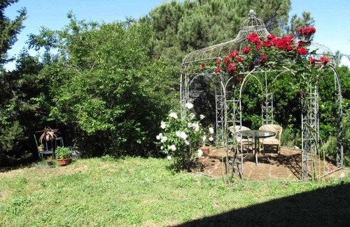 San Giuliano Terme Apartment | Farmhouse La Grotta - Apartment Frantoio