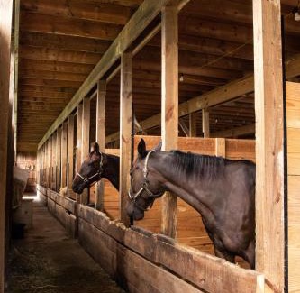 Winesburg House | Farmhouse of Blessings