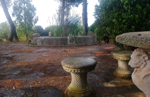 The Trulli of Alberobello Other | Farmhouse with garden a few minutes from Alberobello