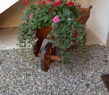 Povoletto House | Farmstay Alloggio Cort di Branc