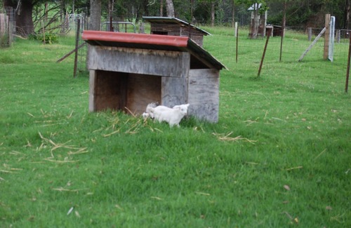 Kangaroo Valley Cabin | Farmstay, Cabins in Beautiful Kangaroo Valley