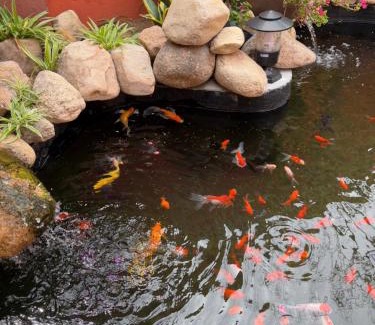 Vinh Hy House | Farmstay NHÀ XƯA
