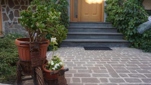 Campo di Giove Apartment | Favelle House
