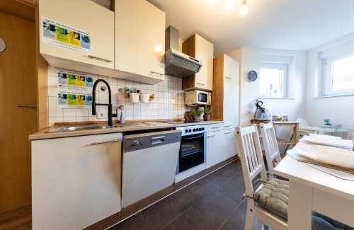 Schwanau Apartment | Fe Wo Europa Park - Straßburg - Colmar - Klimaanlage- Wallbox