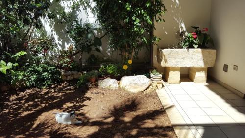 Brindisi Histotic Center Bed & Breakfast | Federico II