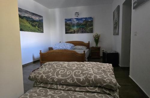 Tulcea Hotel | Felea la Rico