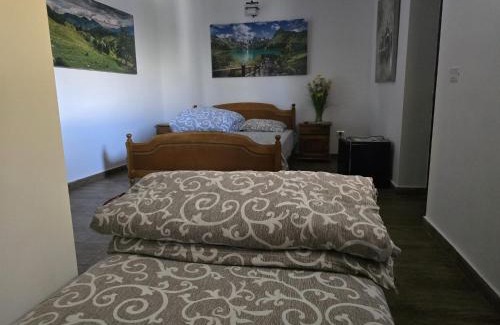 Tulcea Hotel | Felea la Rico
