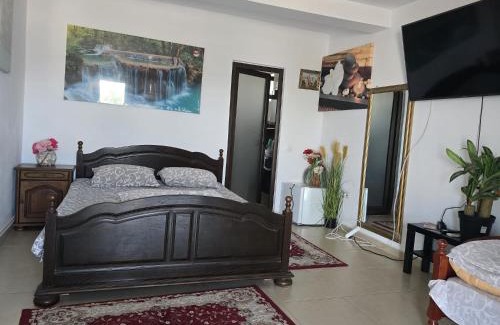 Tulcea Hotel | Felea la Rico