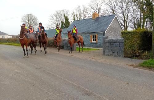 Muine Bheag House | Fenniscourt Cottage