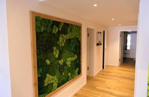 Entfelden Apartment | Ferdis Lodge