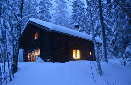 Lunz am See House | Ferienhütte Hochalm