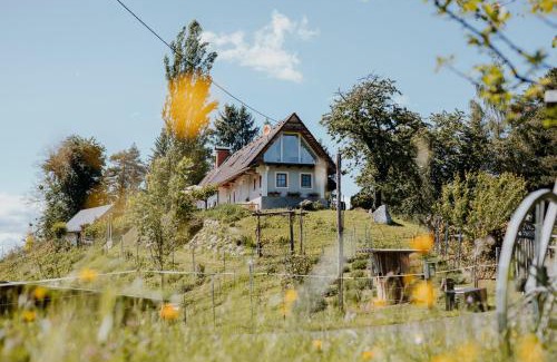 Fotschach House | Ferienhaus am HerbstHof