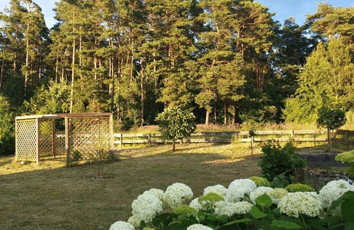 Usedom Apartment | Ferienhaus am Wald App. 1