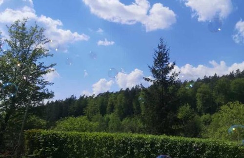 Machtlos House | Ferienhaus am Wald